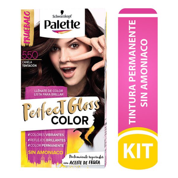 Palette Perfect Gloss Kit 550 Canela Tentación