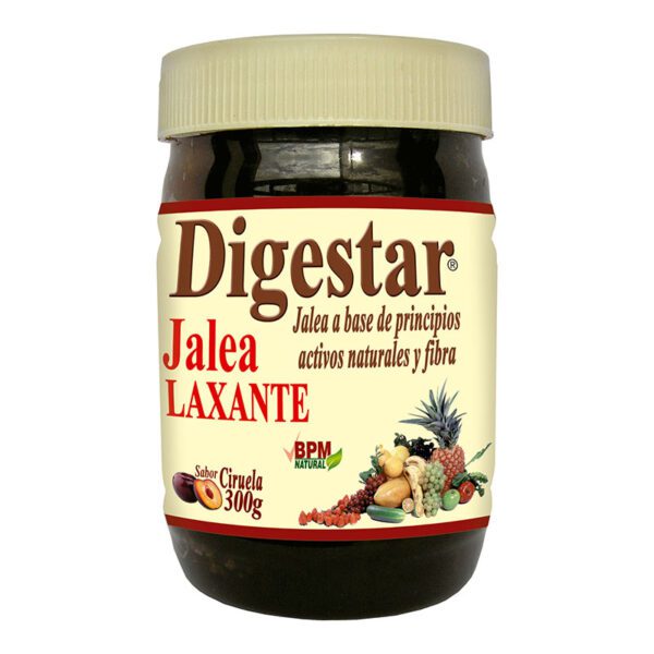 Digestar Jalea 300 Gr - Imagen 2